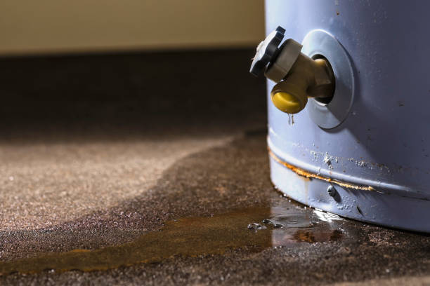 Best 24-hour water damage restoration  in West Chatham, MA