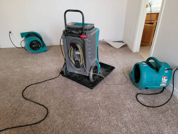 Best Basement water damage restoration  in West Chatham, MA