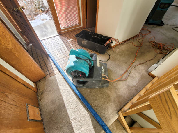 Best Water damage restoration mold remediation  in West Chatham, MA