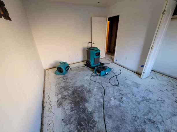 Best Carpet water damage restoration  in West Chatham, MA