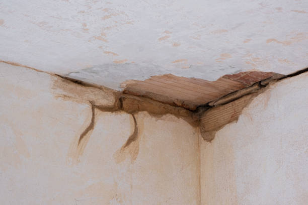 Water damage restoration mold remediation in West Chatham, MA