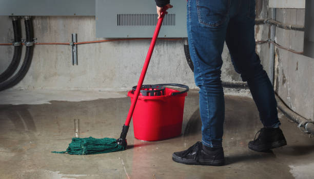 Best Local water damage restoration  in West Chatham, MA