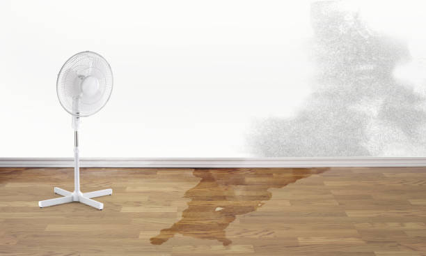 Best Professional water damage repair  in West Chatham, MA